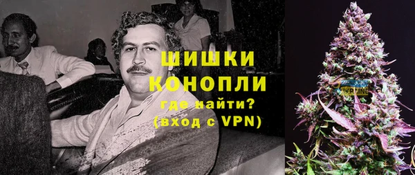 прущие грибы Балахна
