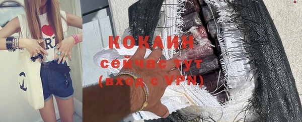 прущие грибы Балахна