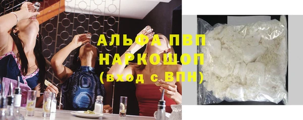 прущие грибы Балахна