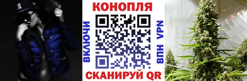 Каннабис индика  Новоалтайск 